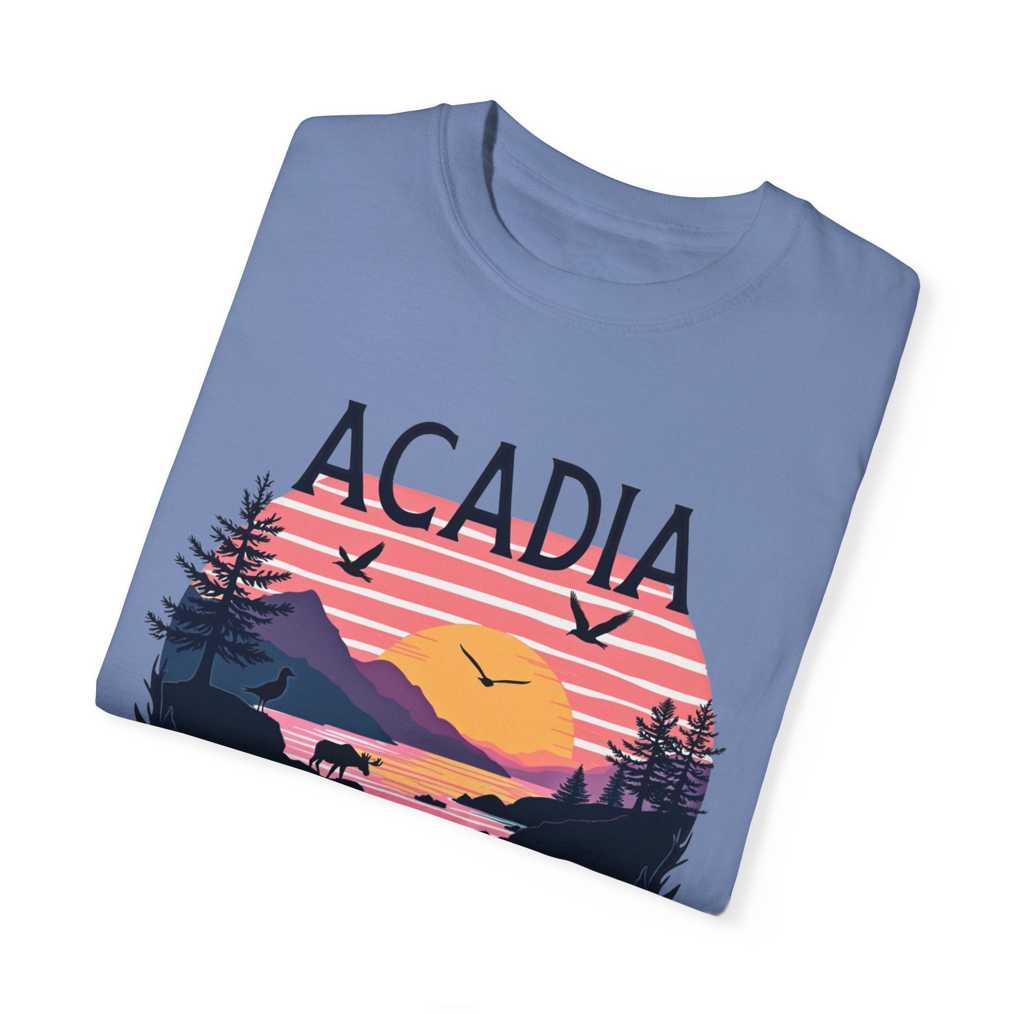 Acadia National Park Blue T Shirt