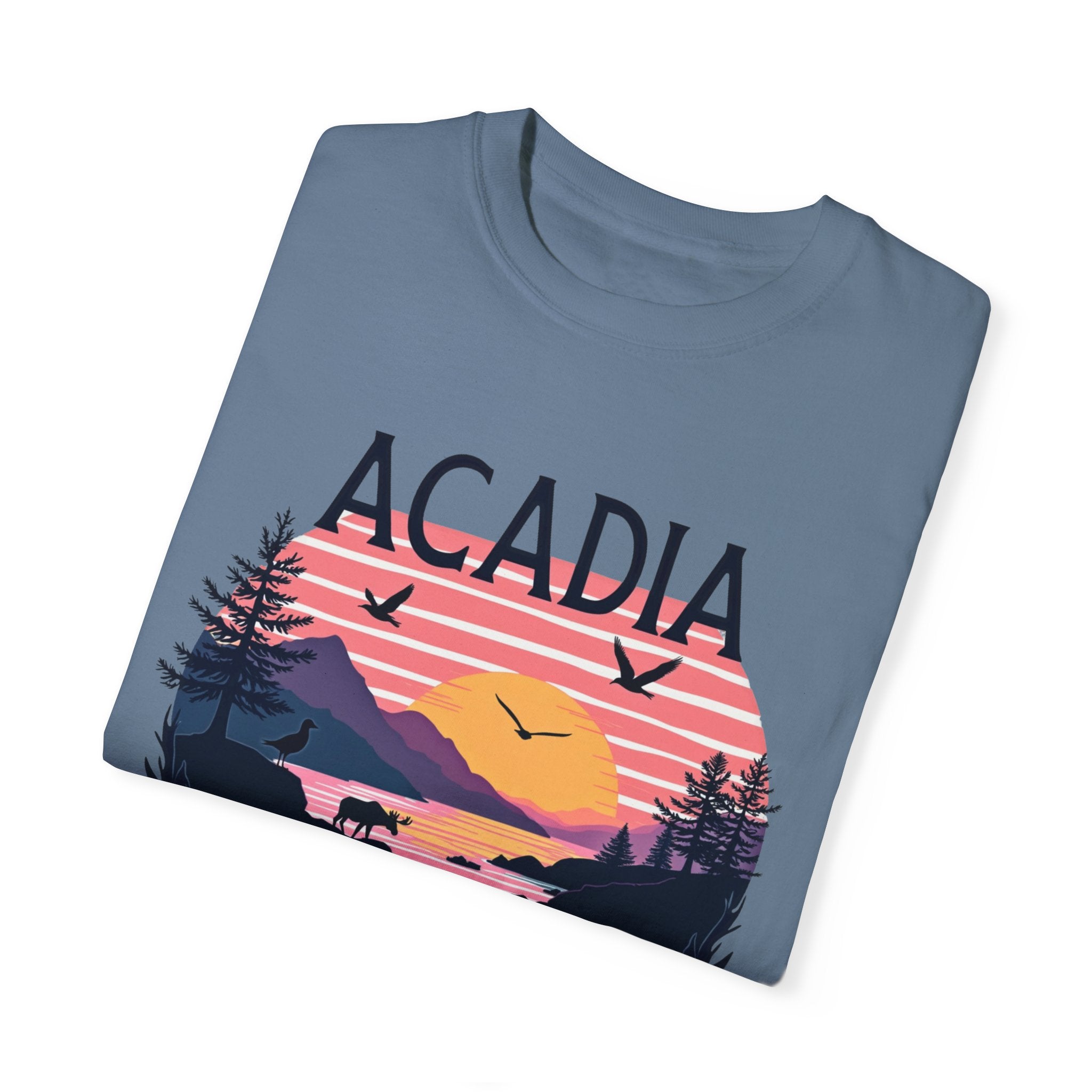 Acadia National Park Grey T Shirt