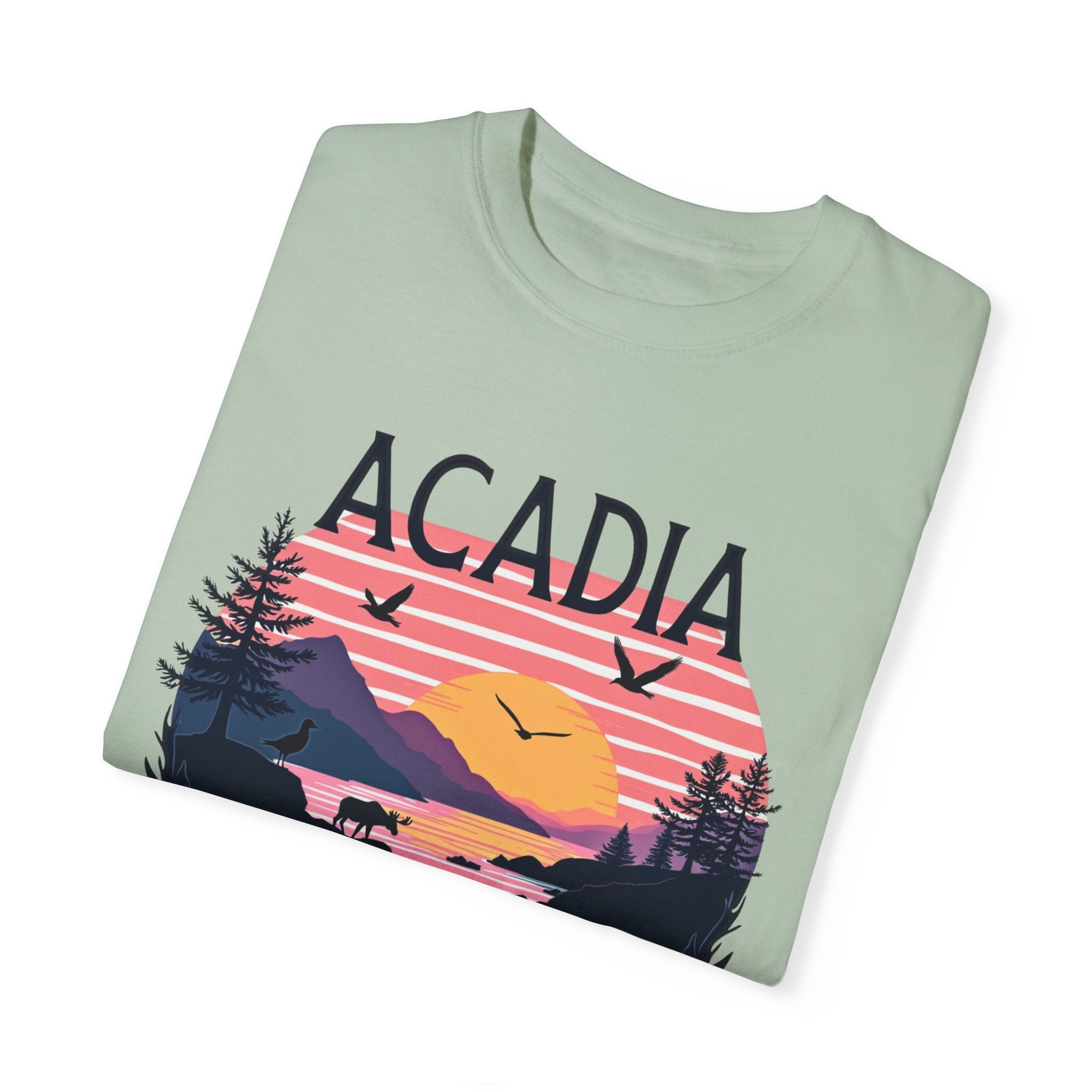 Acadia National Park Light Green T Shirt